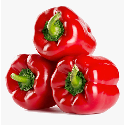 http://atiyasfreshfarm.com/public/storage/photos/1/New Products 2/Bell Pepper Red lb.jpg